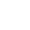 Violon