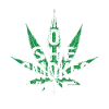 smoke marijuana
