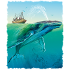 Big Ocean Whale Meer Design
