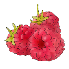 raspberries