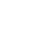 Ghost Hunters