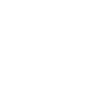 Ghost Hunters