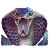 Cobra géant