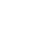Guinea Pig