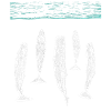 spermwhale plain white