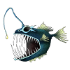 frogfish