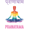 Pranayama Buddhism Zen Yoga Meditation