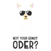 Alpaca - not your serious