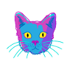 Katze,kitty,animal,funny,humor,tier,Fellnase