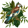 Bunter Vogel