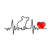 Koala heartbeat