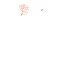 Minimalist Female drawing