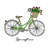 Springtime, spring, bike, tulips