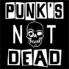 PUNK'S NOT DEAD posters and stickers
