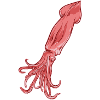 Tintenfisch