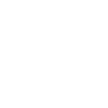 Raven - crow