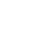 Raven - crow