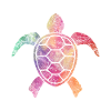 Schildkröte