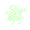 Turtle environmental protection