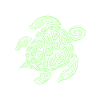 Turtle turtle shell animal