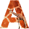 giraffe a