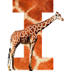 girafe je