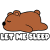 Let me sleep bear