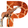 giraffe p