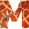 giraffe m