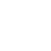 Mountain landscape with conifers