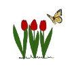 Tulips and butterfly, spring