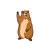 Marmot Murmeltier Geschenk