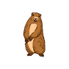 Murmeltier Marmot Geschenk
