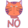 NO cat