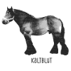 Pferd Kaltblut