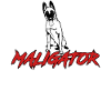 Maligator Belgian Shepherd Dog