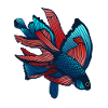 Fight fish