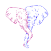 Éléphants amoureux, Éléphants, Éléphant, Éléphant