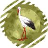 Stork