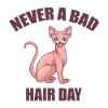 Sphynx Katze