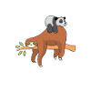 panda