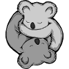 Koala Bear Yin Yang
