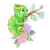 Chameleon