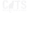 Katze