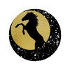 Wild spirit in the moon