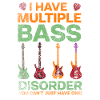 Guitar Bassist