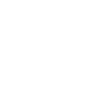 Bass Guitar Guitarist