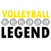 Volleyball