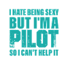 pilot