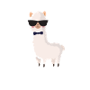 Alpaka Cute